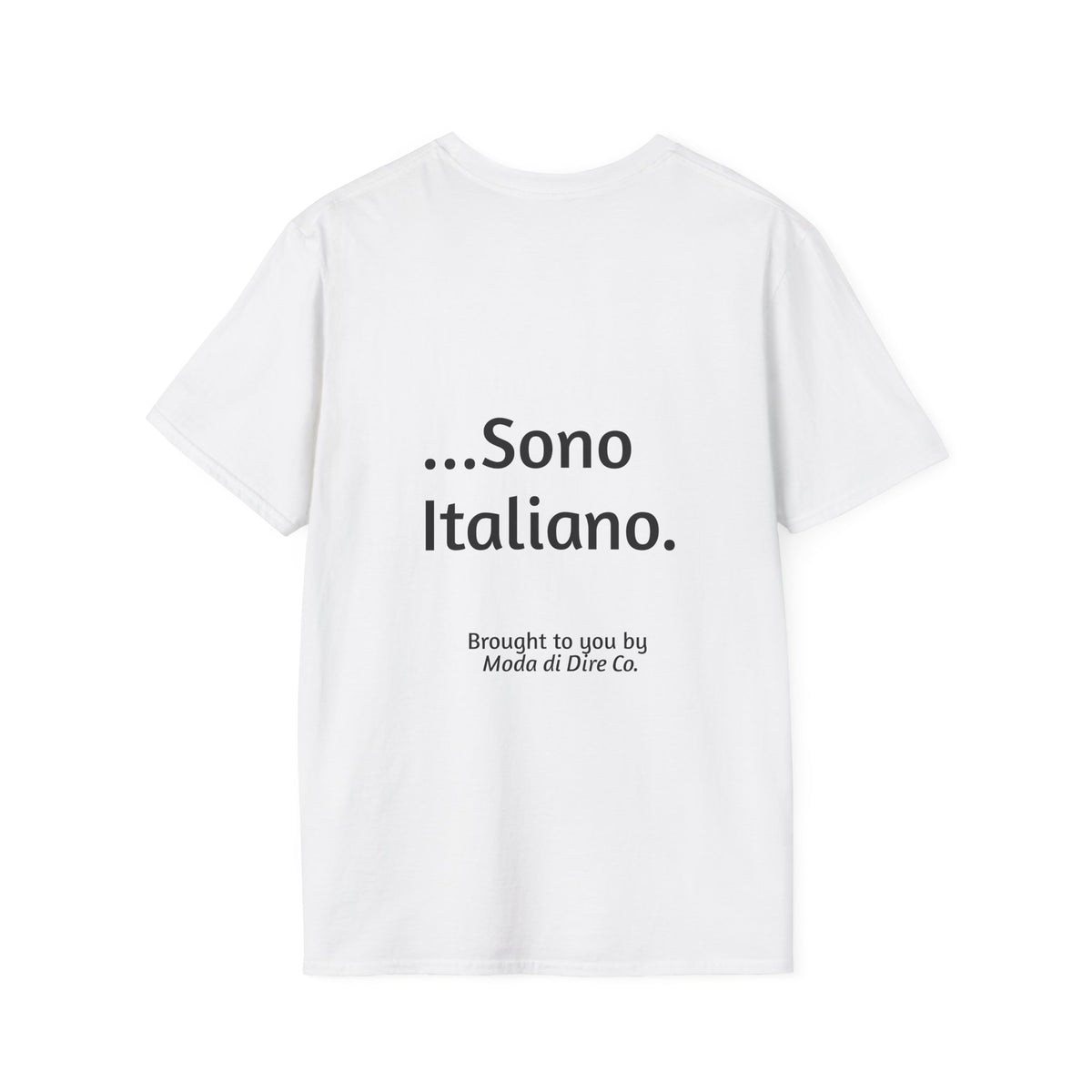 Lasciatemi Cantare...Sono Italiano (Let me sing, I'm Italian)
