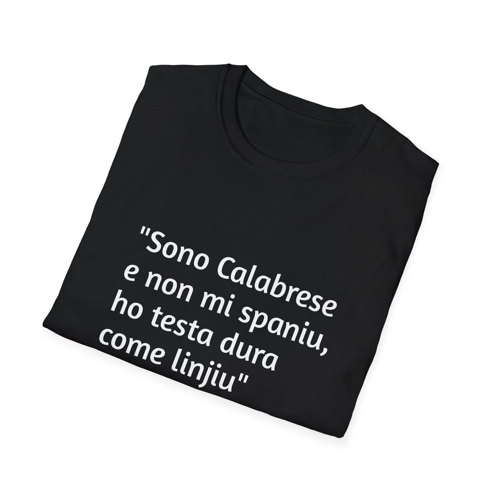 Sono Calabrese e non mi spaniu (I'm Calabrian and I'm not afraid)