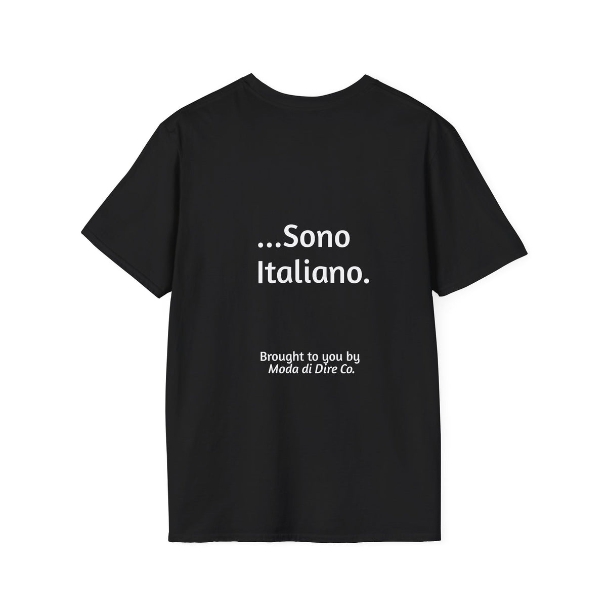 Lasciatemi Cantare...Sono Italiano (Let me sing, I'm Italian)